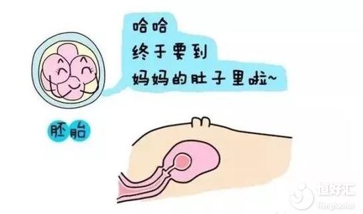 想要做一次試管就成功？這幾點(diǎn)注意事項(xiàng)不可忽視