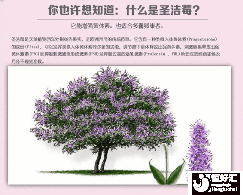 圣潔莓的作用雖好，但這3點卻要好好把握！