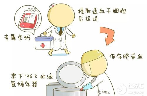 臍帶血有必要保存嗎？這3點(diǎn)常識(shí)很多人不知