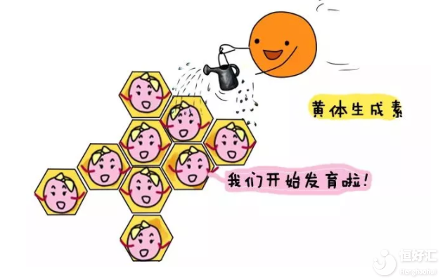 做試管嬰兒請注意以下因素！或許會(huì)影響促排效果