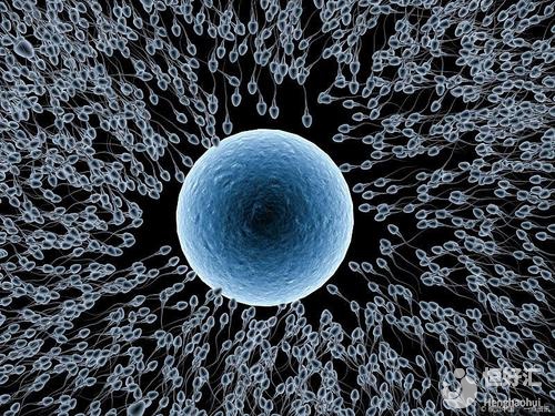 試管嬰兒受精為什么會(huì)失??？醫(yī)生：3大原因很致命