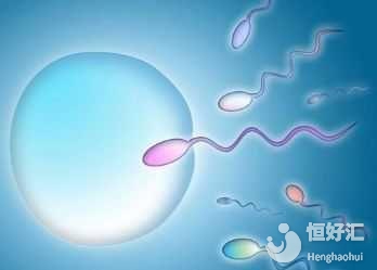 供精試管嬰兒是什么？醫(yī)生：或許適應(yīng)這些人群