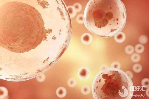 做試管嬰兒前，這幾件大事請(qǐng)?zhí)崆傲私馇宄? /></a>
	<div   id=