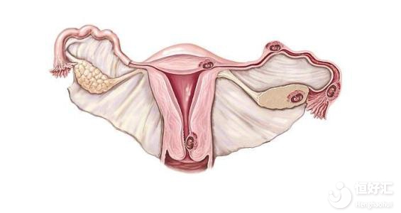 月經(jīng)不來(lái)能否做試管嬰兒？答案出其意外！