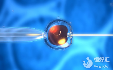 試管嬰兒里的鮮胚胎、凍胚胎移植傻傻分不清？