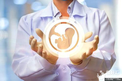 試管嬰兒有這些情況不建議移植鮮胚，希望你沒有！