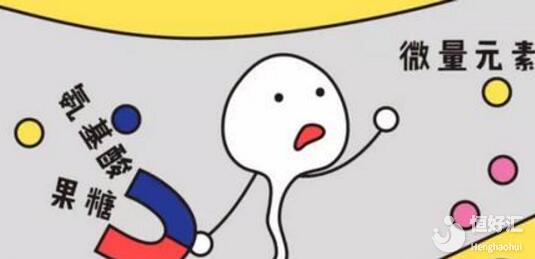 備孕期的男性責(zé)任有多大？“養(yǎng)精”蓄銳方法都在這