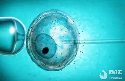 做試管嬰兒一直懷不上？這些攻略要記得看完