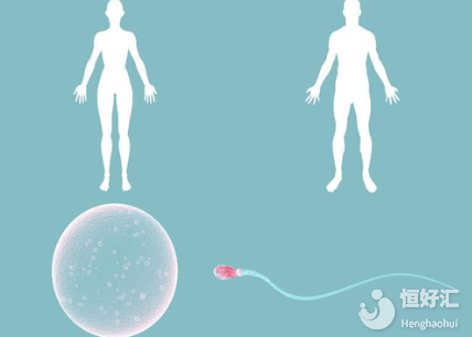 同樣是做試管嬰兒，為什么別人就能一次就成功？真相在這里！