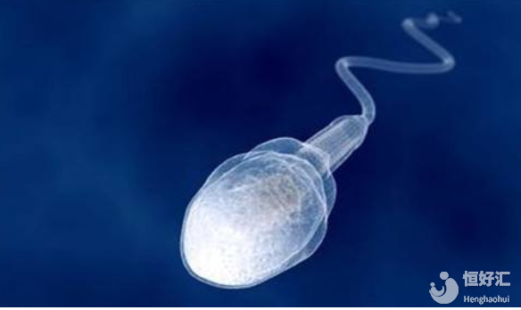 高齡+多囊，我還有懷孕的希望嗎？