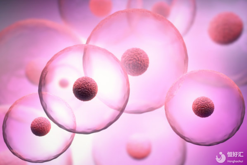 試管嬰兒移植前調(diào)理子宮內(nèi)膜，可以提高成功率嗎？