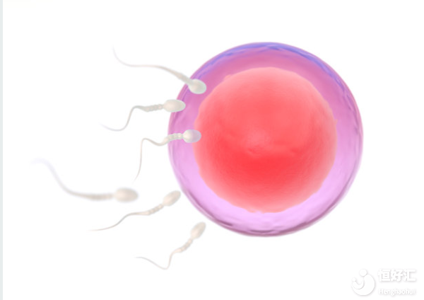 試管嬰兒術(shù)后如何保胎？了解這些是關(guān)鍵！