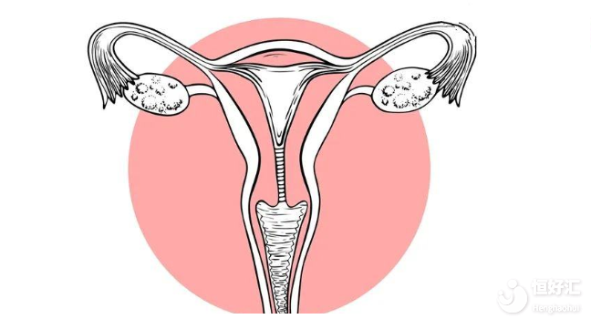 試管嬰兒|輸卵管堵塞了還能懷孕嗎？我來告訴你答案！