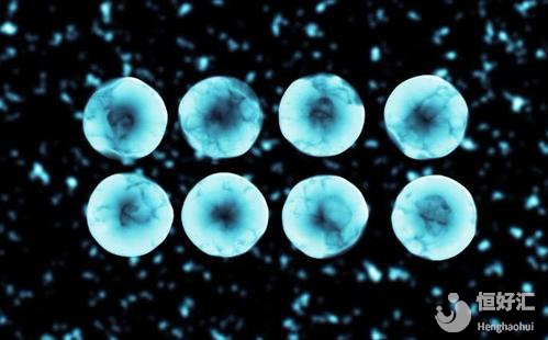 卵子質(zhì)量會(huì)影響試管嬰兒成功率嗎？其答案在這里