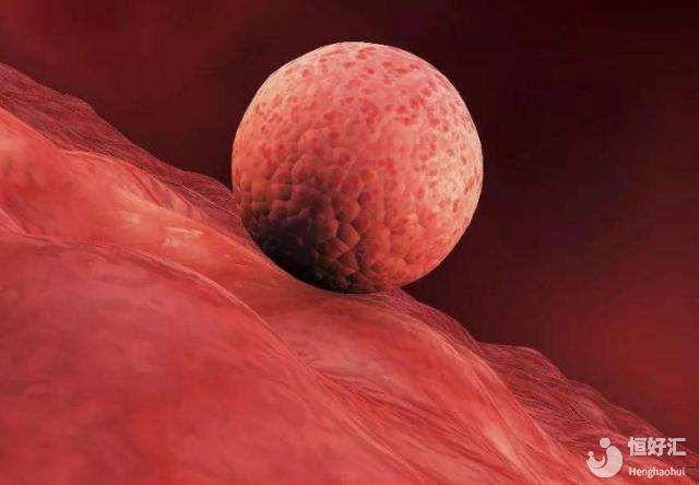 太薄不行，太厚也不行？究竟怎樣的厚度才適合胚胎著床呢？