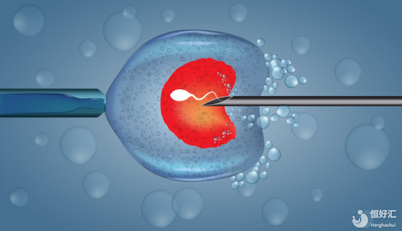 試管嬰兒為什么要打“夜針”？白天打有影響嗎？