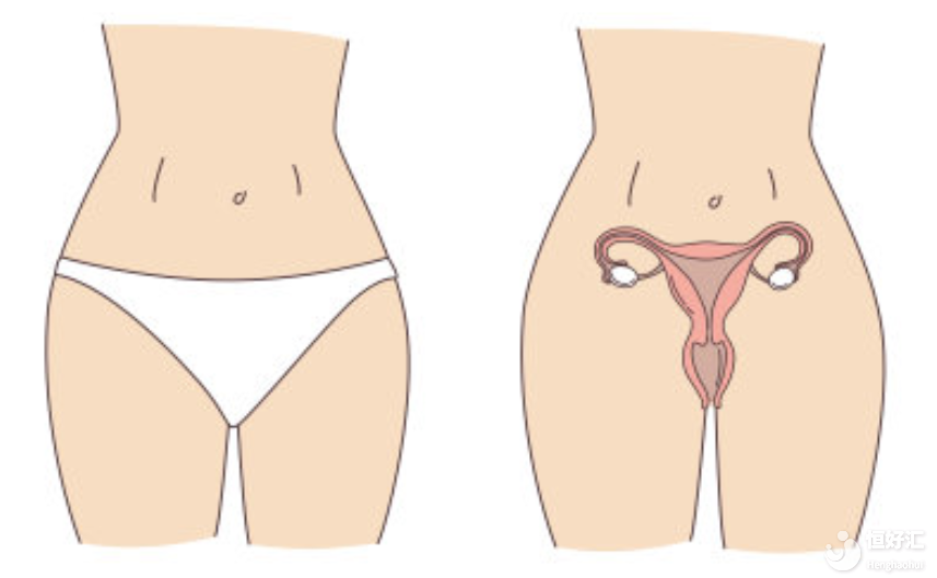 試管嬰兒取卵前后千萬別大意！小心發(fā)生卵巢扭轉(zhuǎn)！