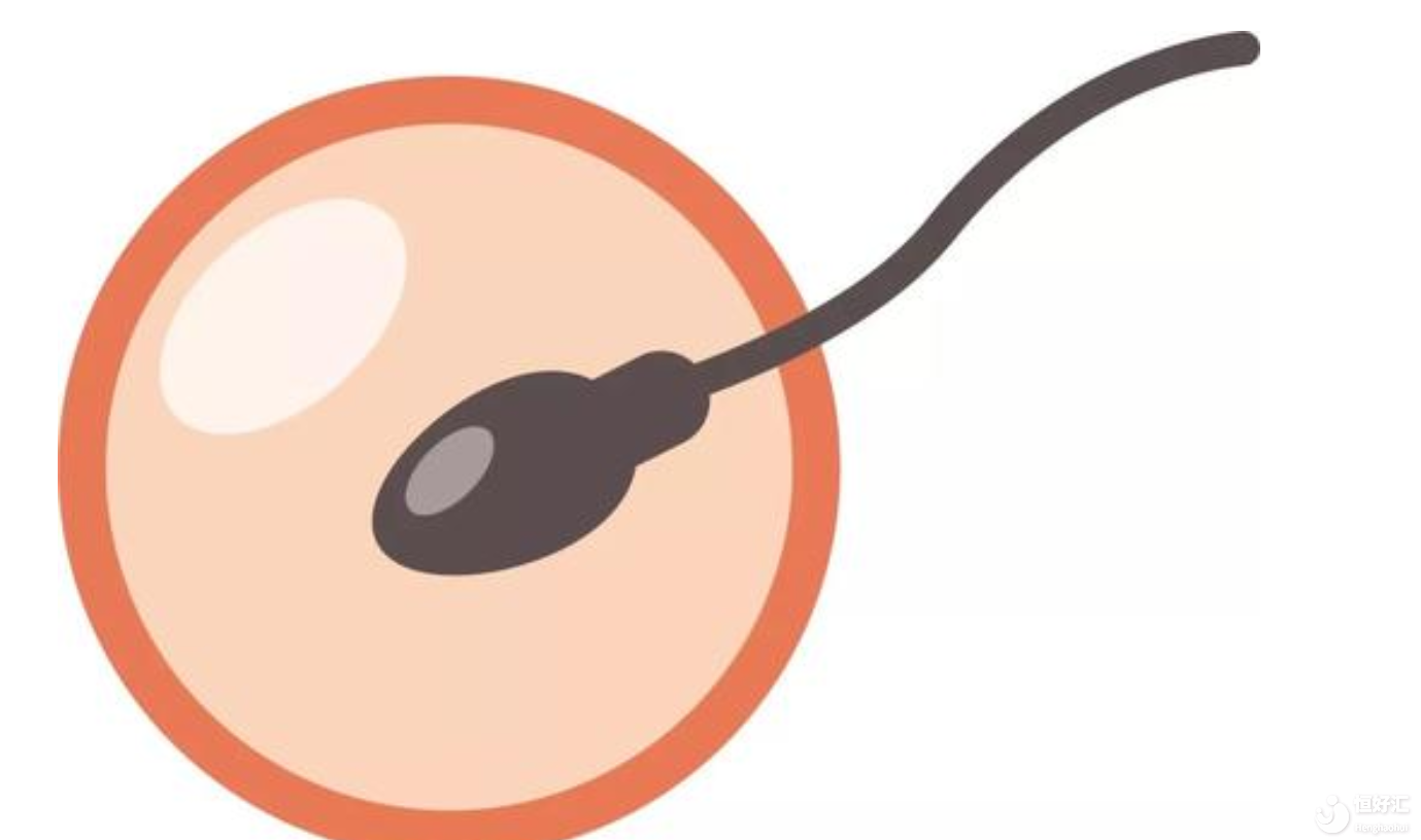 關(guān)于試管嬰兒治療，大家最關(guān)心的6個(gè)問(wèn)題