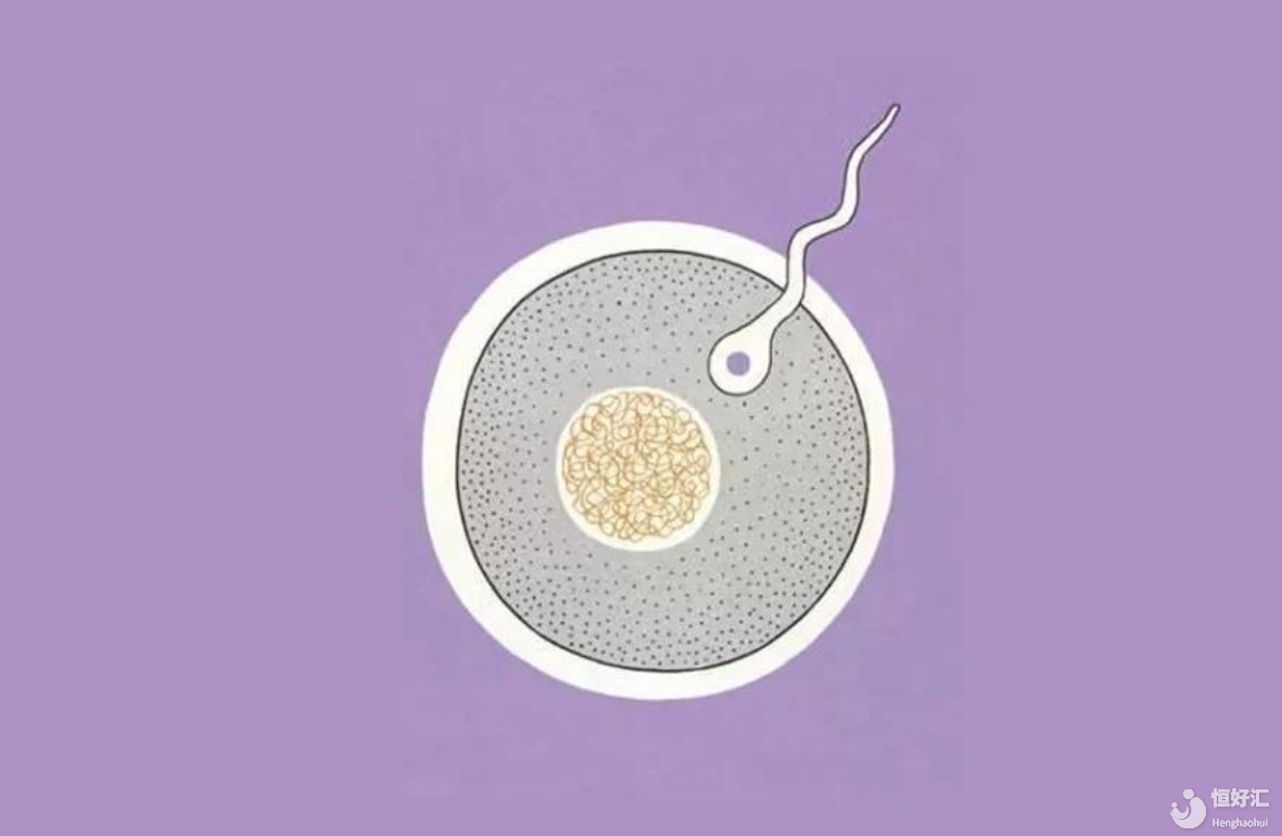 第三代試管嬰兒就會(huì)適合你嗎？這些區(qū)別你一定要知道！