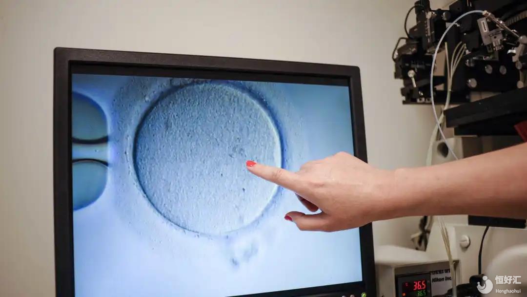 空卵泡和正常卵泡什么區(qū)別？一文就看懂！