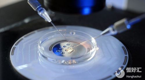 試管嬰兒取卵前請做好這些，有利于獲卵數(shù)量！