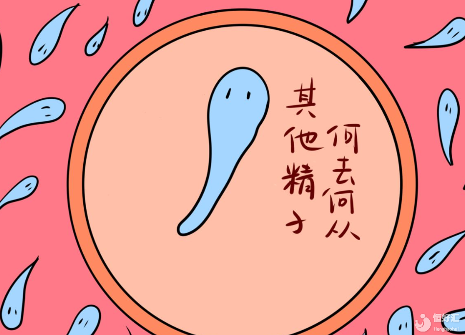 冷凍精子會降低試管成功率？絕對不是這樣