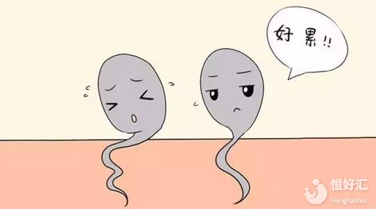 長期備孕為什么不孕？醫(yī)生：或許男方也有責(zé)任