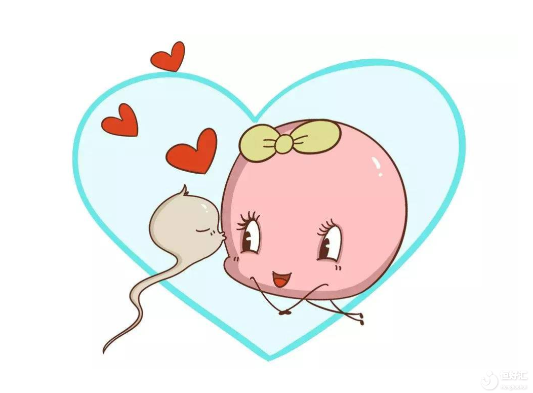 試管嬰兒過程是怎樣的？會很難受嗎？