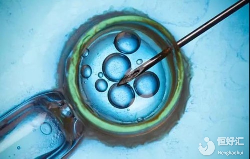 試管嬰兒取卵后卵巢多久能恢復？真相來了！