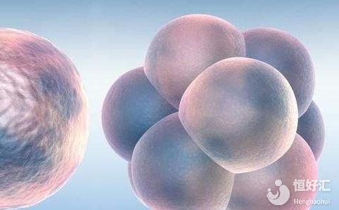 試管嬰兒冷凍胚胎的作用，看完“蠢蠢欲動(dòng)”！