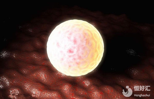 關(guān)于試管嬰兒促排卵的相關(guān)疑問，你了解多少？