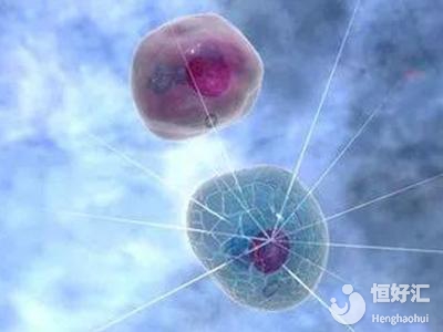 試管嬰兒要如何選擇？這3種技術(shù)需搞清楚