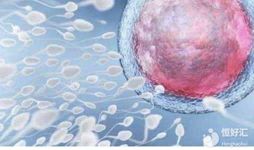 供卵試管嬰兒需要多少費(fèi)用？其費(fèi)用與這3點(diǎn)有關(guān)