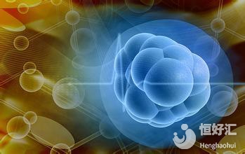 做試管有哪些胚胎可移植？哪種成功率最高？