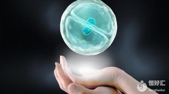 做試管嬰兒避免這些“傻事”，下一個懷孕的就是你