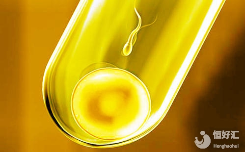 試管短方案的流程介紹，你不知道的還有這些