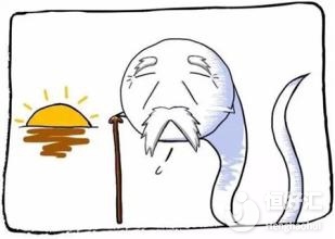 禁欲會不會影響精子質(zhì)量？也許是你想錯了