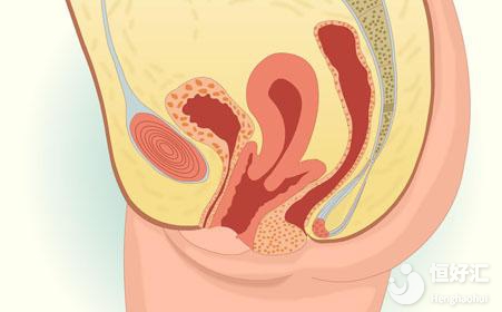 關(guān)于子宮后位的那些事兒，你了解了多少？