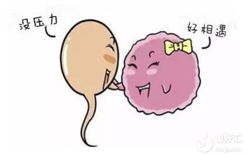 備孕如何調(diào)理身體？醫(yī)生：做好這幾點很重要