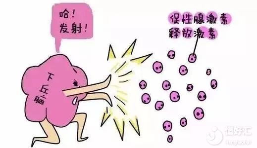 試管嬰兒促排中常見的問題，答案全在這里！