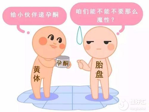 做試管能不能懷孕？醫(yī)生：這幾點因素說了算