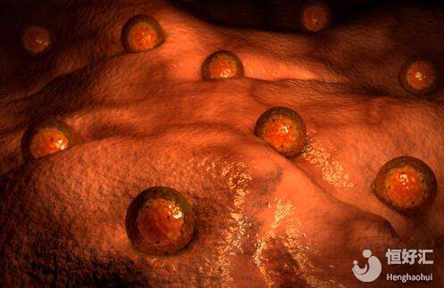 試管嬰兒取卵取到空卵泡？希望不是你的錯