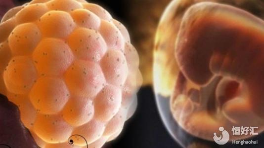 注意了！試管嬰兒選對移植時間可以提高成功率