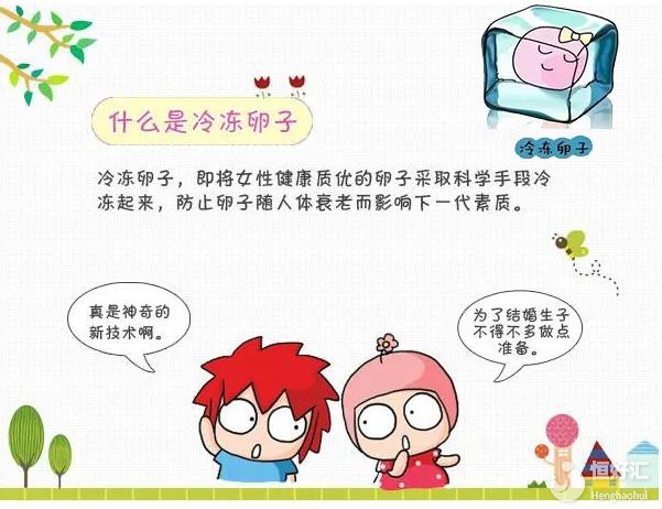 國內(nèi)單身女性能否冷凍卵子？看完這個再下決定