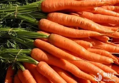 女人40后怎么保養(yǎng)卵巢？吃胡蘿卜是其一！