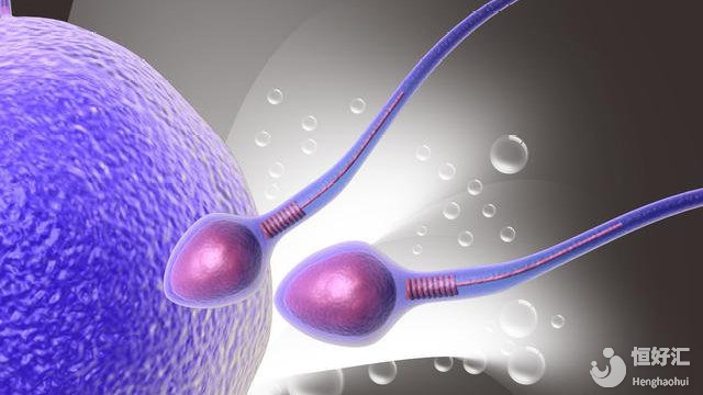 備孕多年沒(méi)動(dòng)靜？馬來(lái)西亞試管嬰兒技術(shù)讓無(wú)數(shù)家庭迎來(lái)轉(zhuǎn)機(jī)